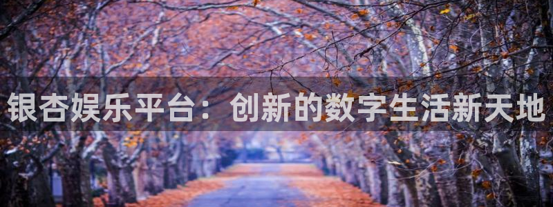 辉达注册